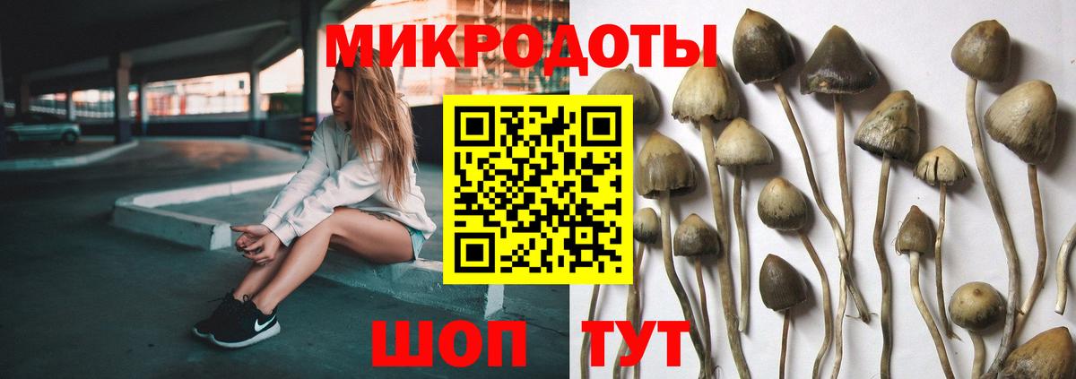 Галлюциногенные грибы Magic Shrooms  Галлюциногенные грибы Magic Shrooms  Вход с VPN  Троицк 
